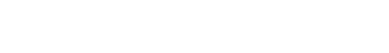 事業実績